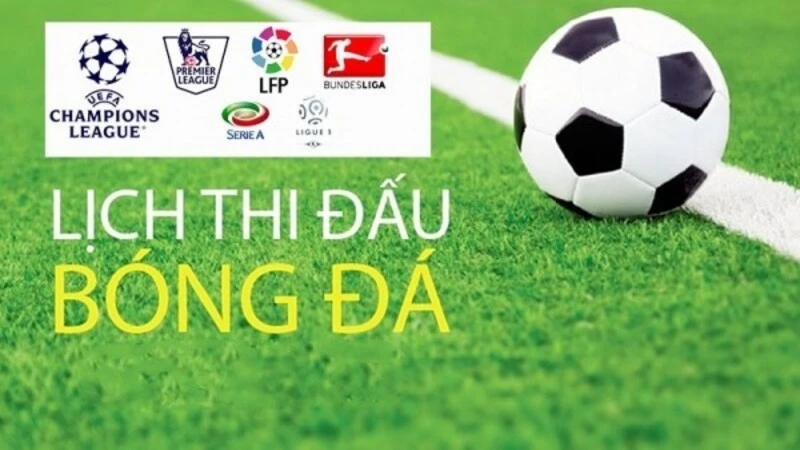 Đa dạng lịch thi đấu tại Kèo Nhà Cái